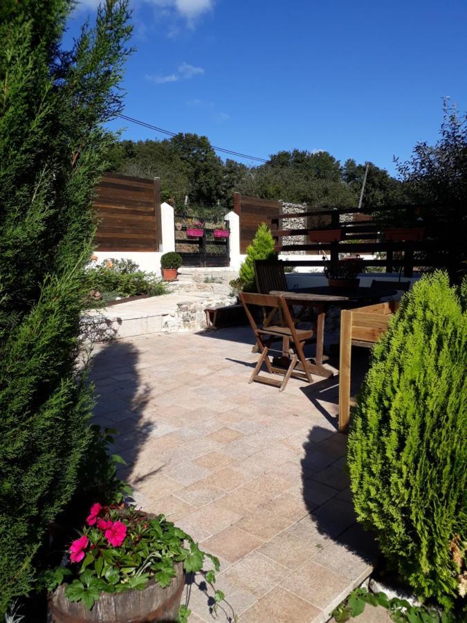 Norev Homestay Saint-Martin-du-Mont